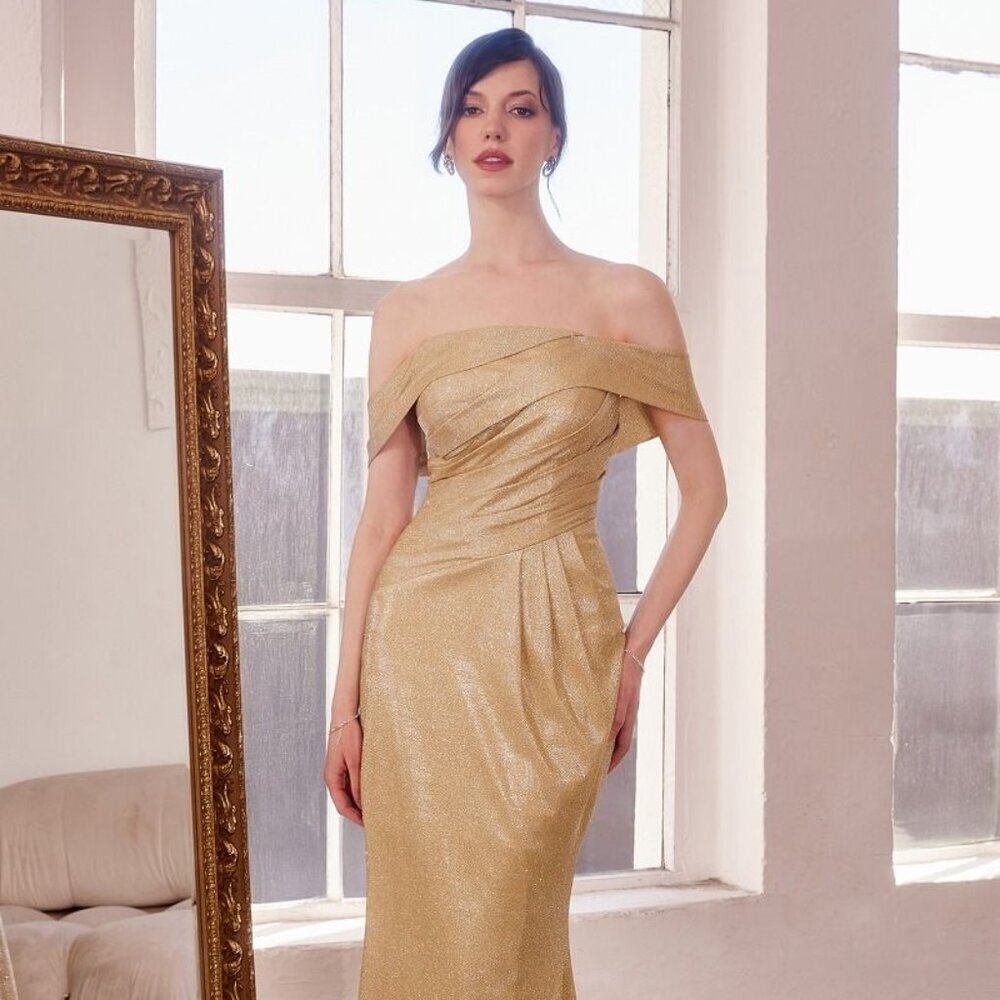 New Off Shoulder Sheath Evening Long Gown w/ Pleated Details & Zip Back CD T603